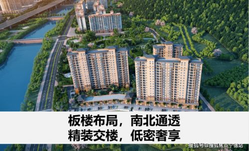 粵港澳大灣區(qū)西岸經(jīng)濟(jì)引擎 珠海 未來前景比肩深圳蛇口 珠海山水閱琴灣