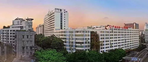 海外招聘 與眾不同的你,哈佛見(jiàn)