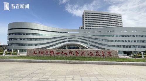 紅色旋律酒泉響起 美妙的樂為清澈的你