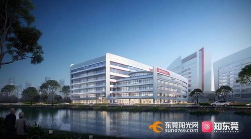 最新 東莞這些重大項目安排上了