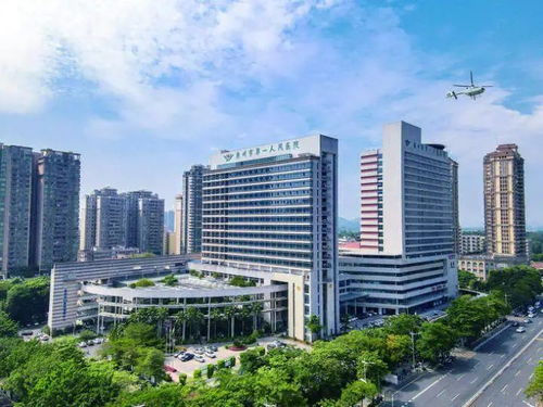 院長談 新質生產力 專訪惠州市第一人民醫(yī)院院長袁霞 做強 八大中心 做優(yōu)智慧醫(yī)療