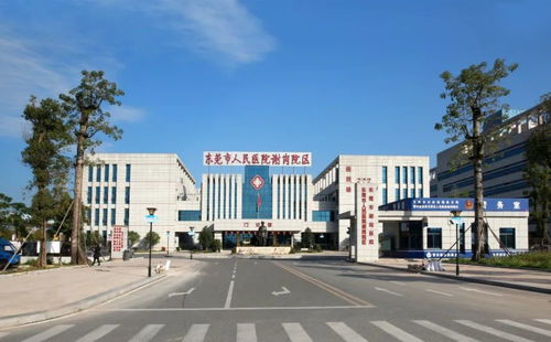 謝崗醫(yī)院引進纖維支氣管鏡 助呼吸系統(tǒng)疾病患者早日確診