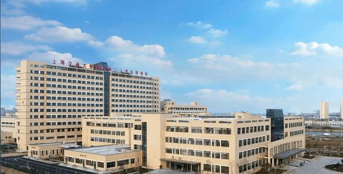 奉發(fā)左岸晶邸售樓處動(dòng)態(tài)與官網(wǎng)信息解析，兼論蛇口人民醫(yī)院影響