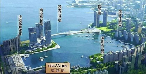 蛇口海景公寓 戶戶帶陽(yáng)臺(tái)，端戶通燃?xì)?，毗鄰蛇口人民醫(yī)院